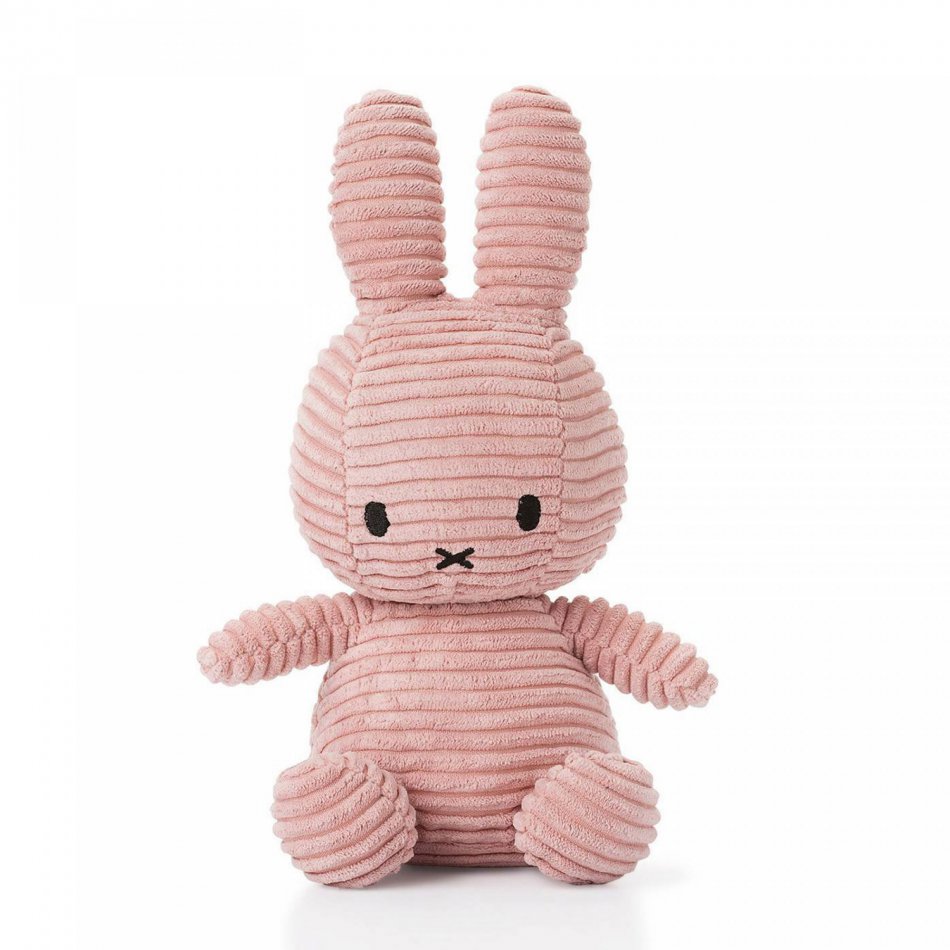 Its a girl - Ballon & Nijntje