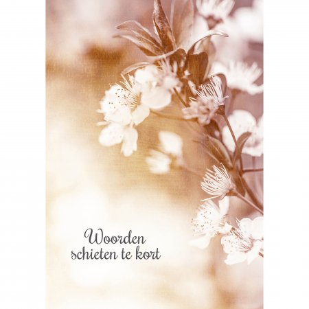 Kaart Condoleance Flowers white