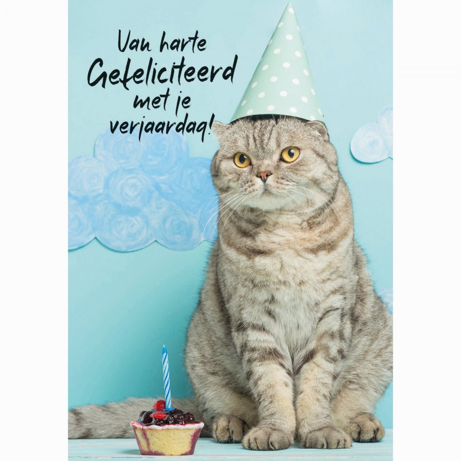 Verjaardag Feestvierende kat