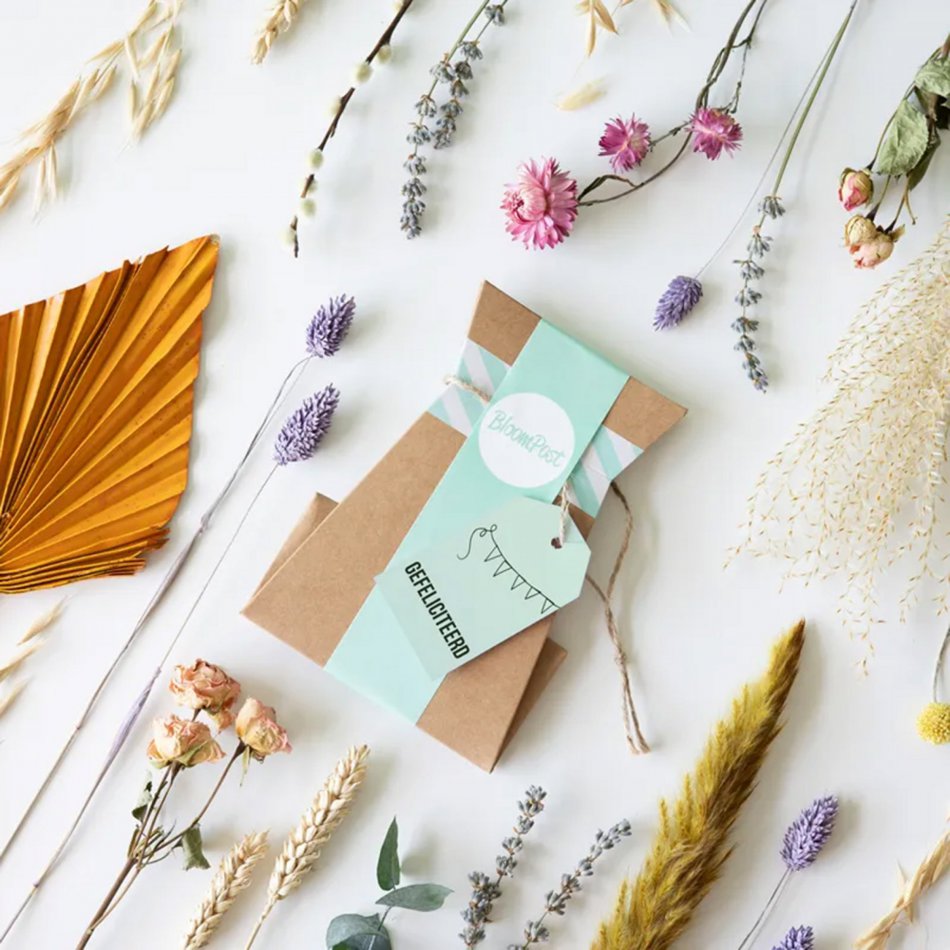 Bloomposy Pastel Gefeliciteerd