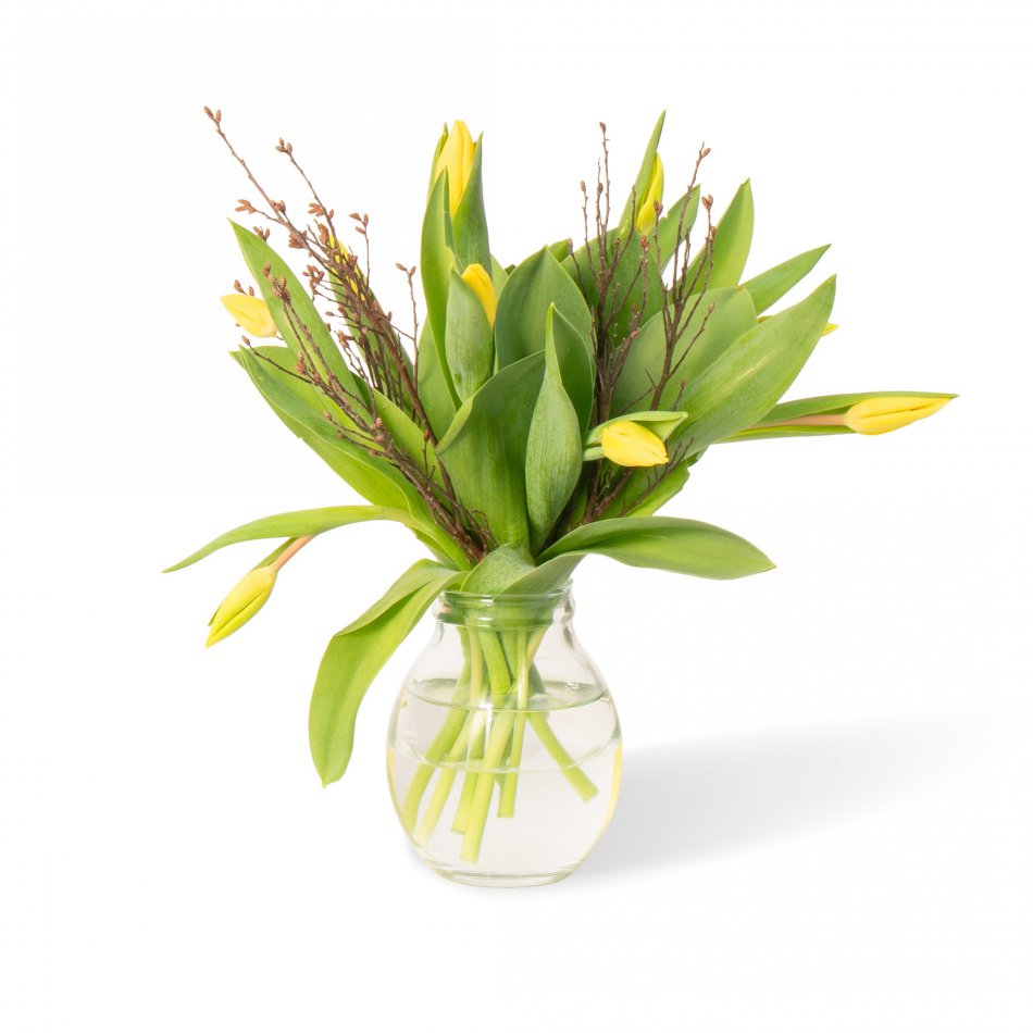 Tulpen Geel brievenbus