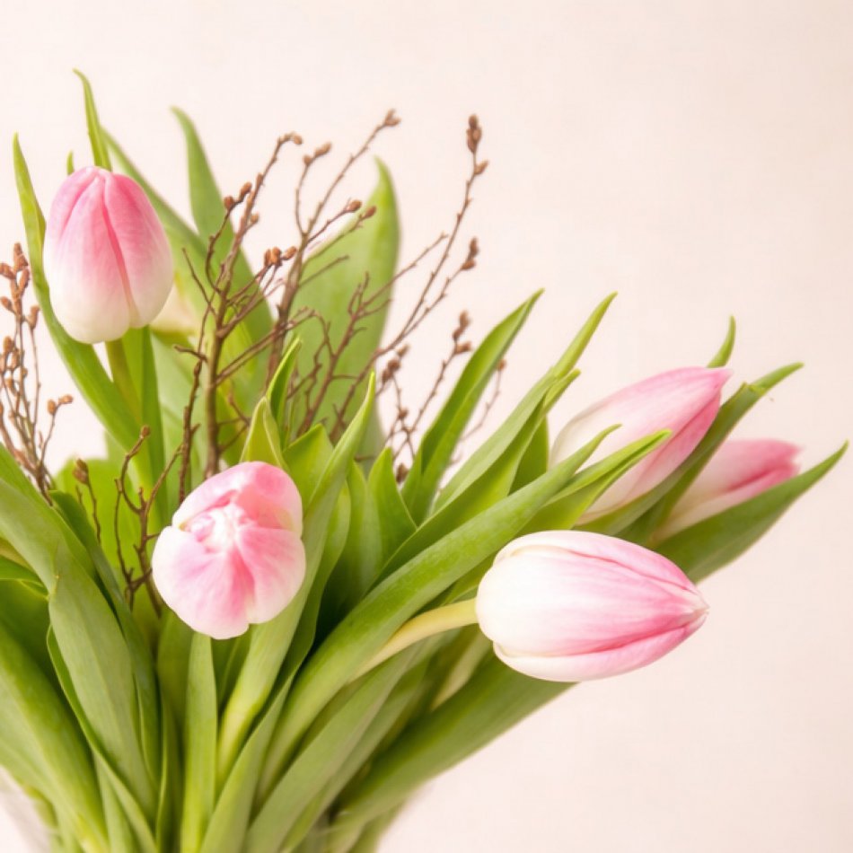 Tulpen Roze brievenbus