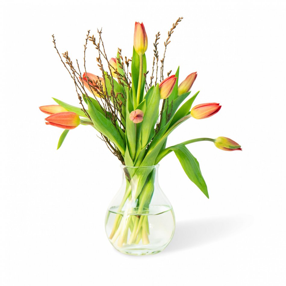 Tulpen Oranje brievenbus